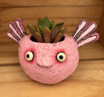 Pink Axolotl
