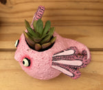 Pink Axolotl
