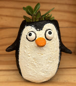 Mr. Penguin