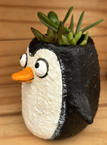 Mr. Penguin