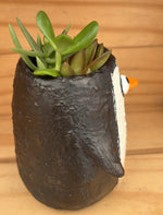 Mr. Penguin