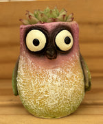 Mr. Flit