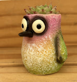 Mr. Flit
