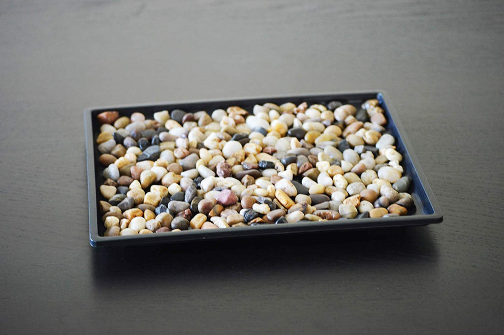Humidity Tray with Miniature Rocks