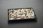 Humidity Tray with Miniature Rocks