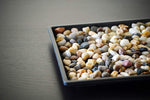 Humidity Tray with Miniature Rocks