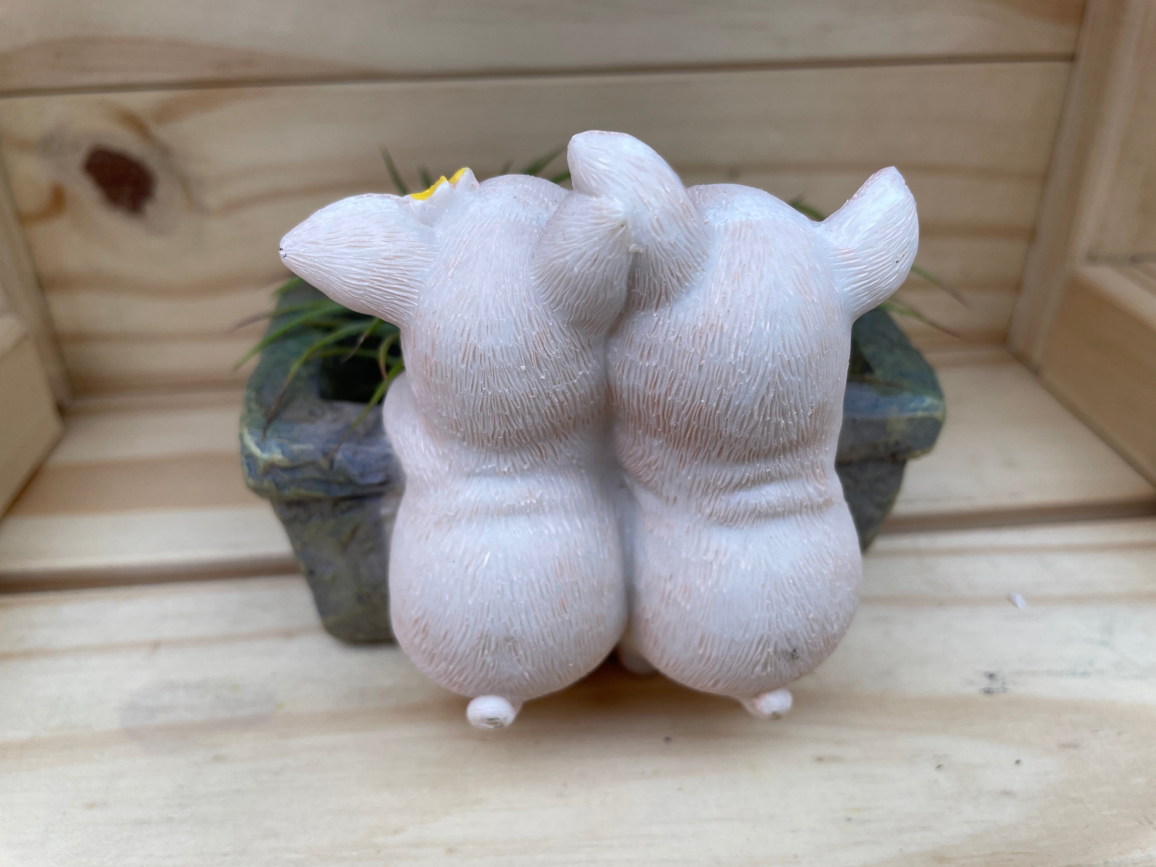 "Mr. and Mrs. Piggy" Set 1 with ASSORTED Airplants