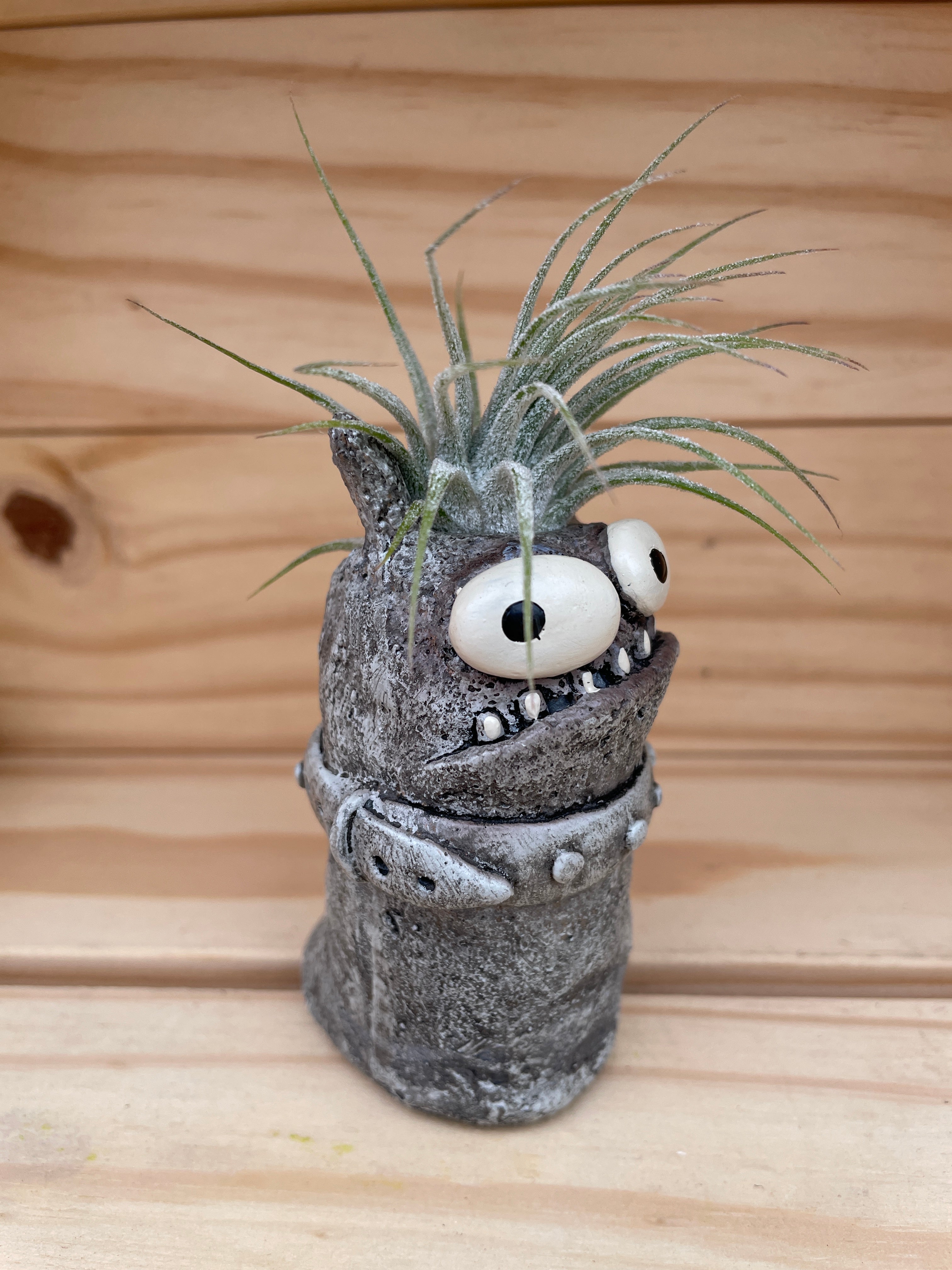 Cutie Monster - "Good Hair Day" with ASSORTED Airplant