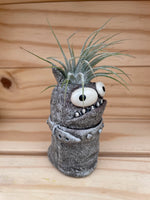 Cutie Monster - "Good Hair Day" with ASSORTED Airplant