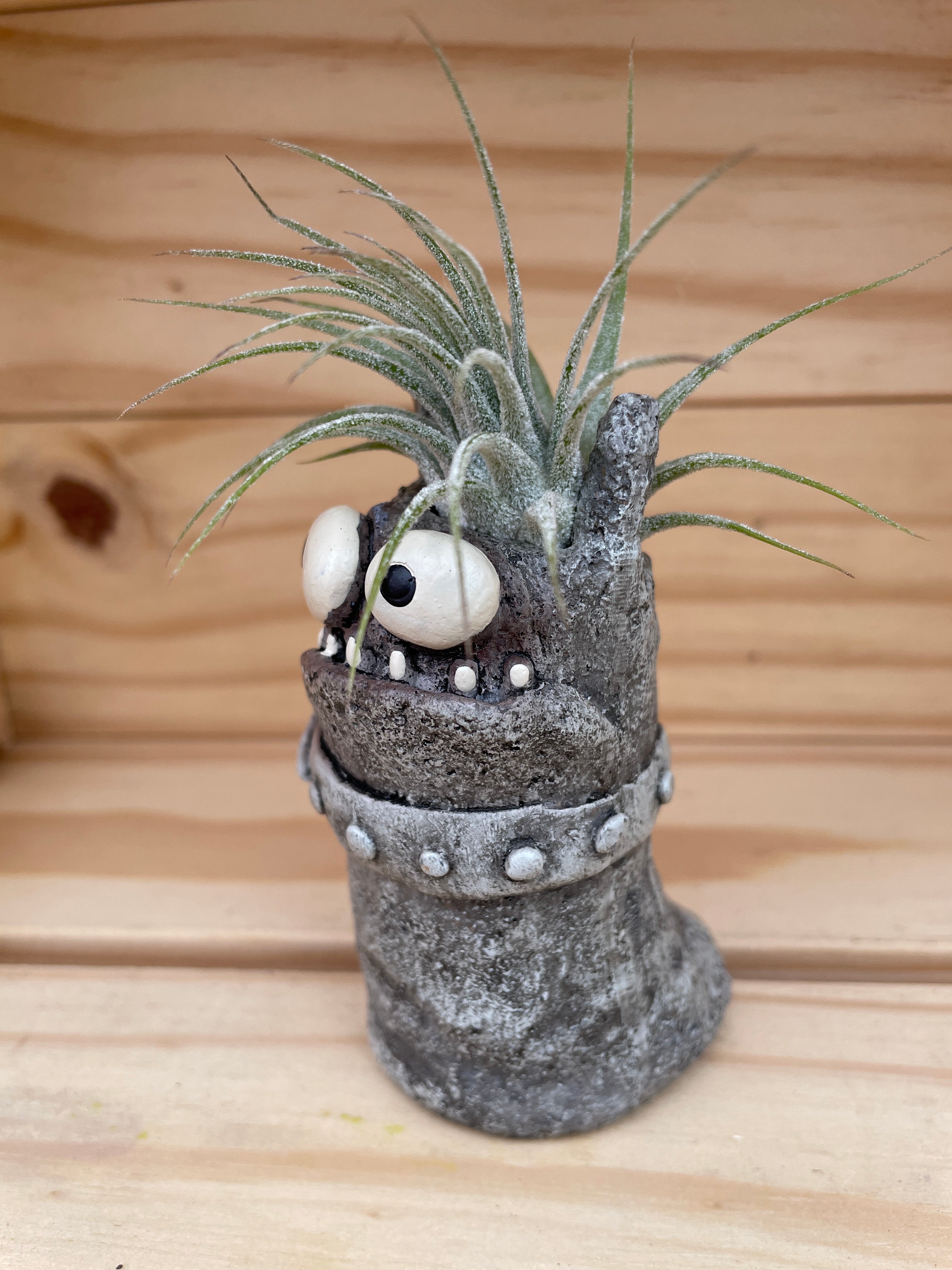 Cutie Monster - "Good Hair Day" with ASSORTED Airplant