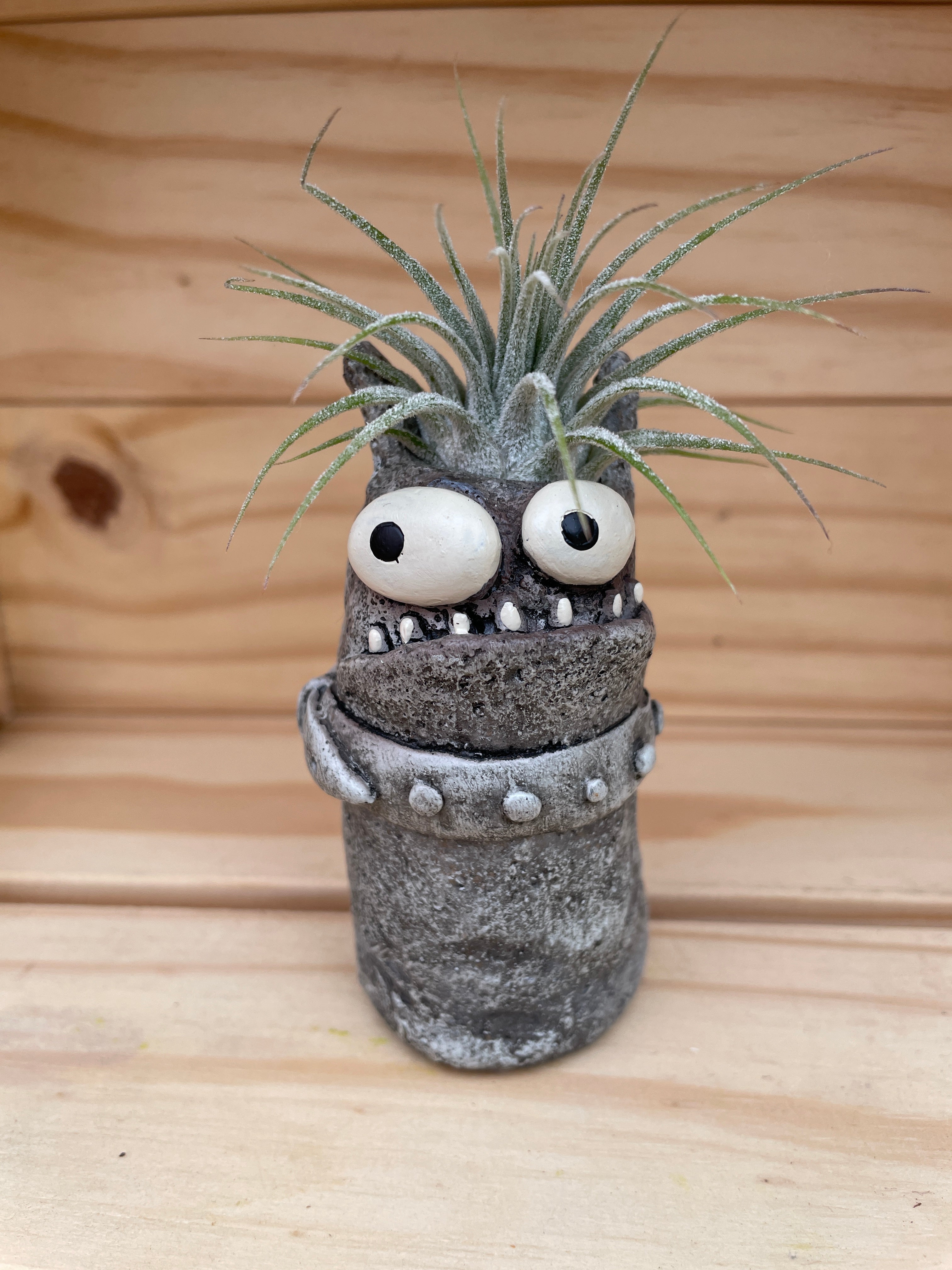 Cutie Monster - "Good Hair Day" with ASSORTED Airplant