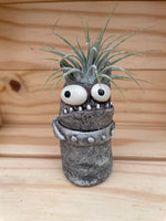 Cutie Monster - "Good Hair Day" with ASSORTED Airplant
