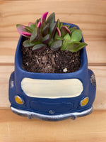 Blue "Beettle" Car Planter /w ASSORTED succulents
