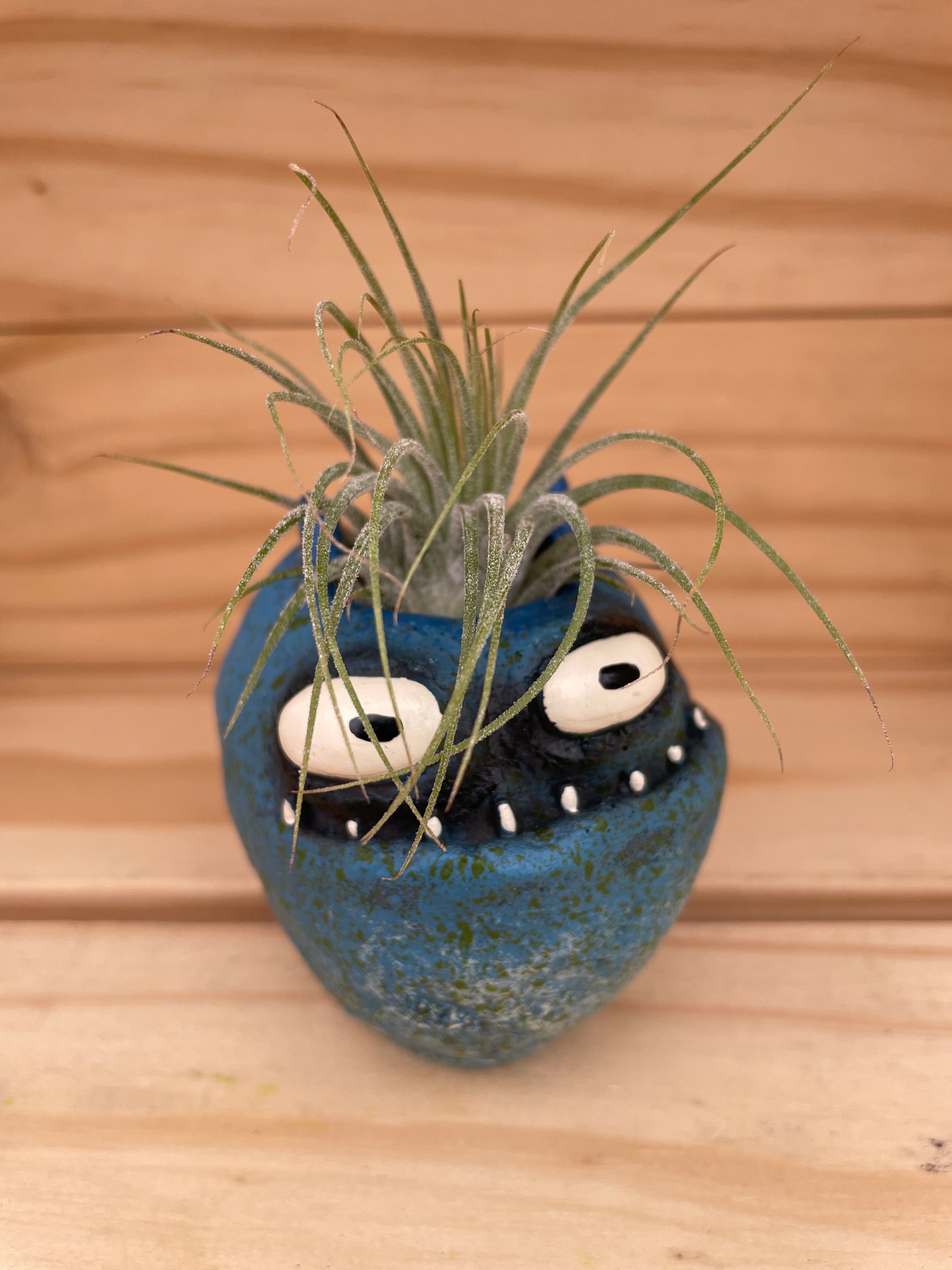Grumpy Little Blue Monster with ASSORTED Airplant