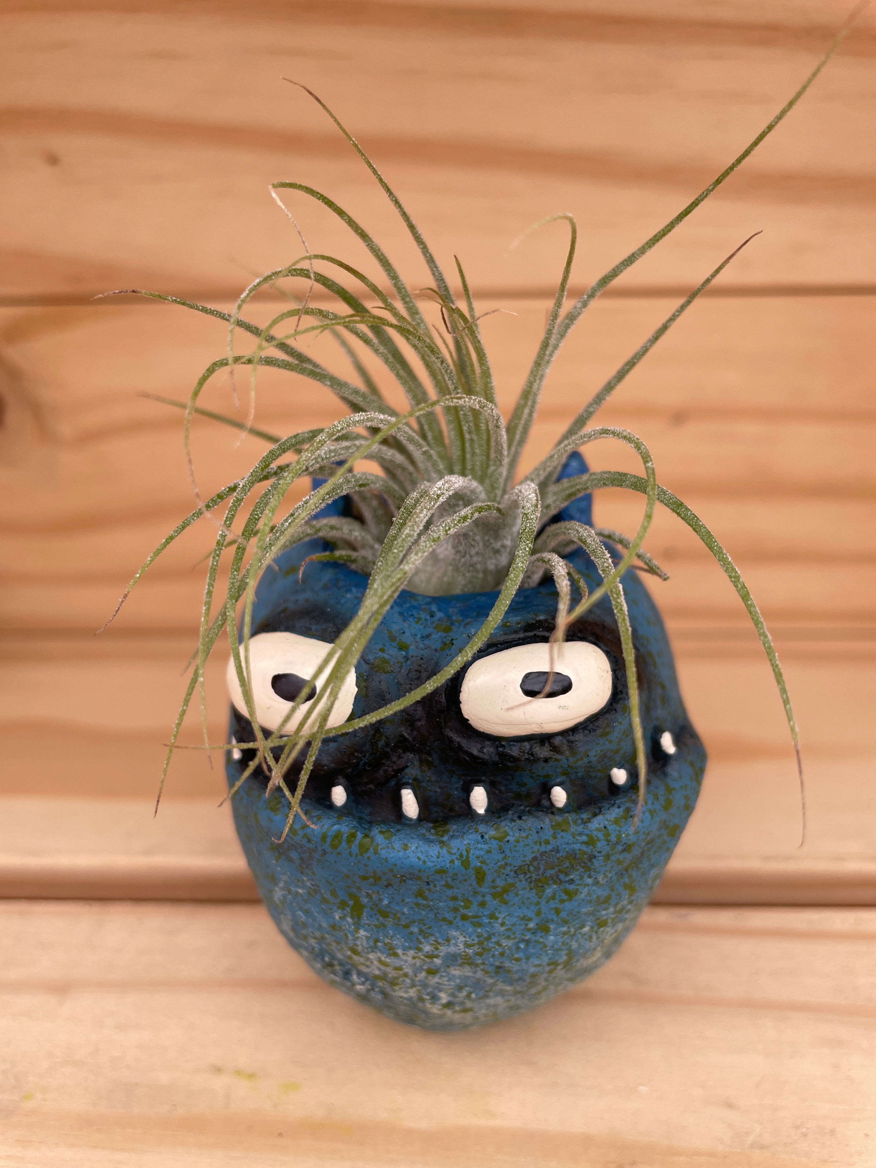 Grumpy Little Blue Monster with ASSORTED Airplant