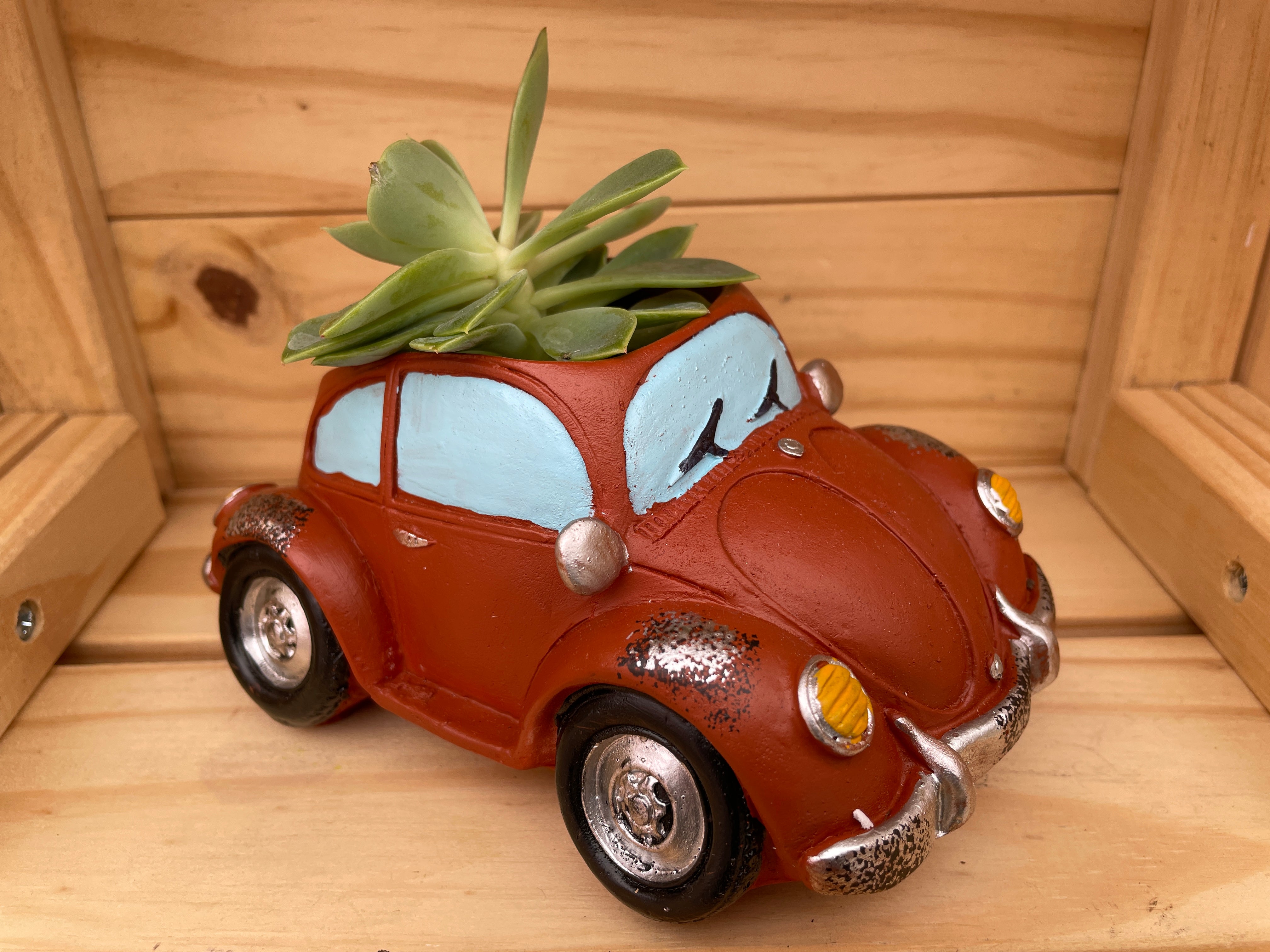 "Red Beetle" with ASSORTED Succulents