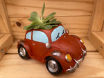 "Red Beetle" with ASSORTED Succulents