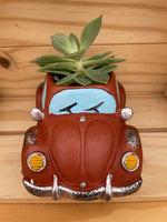 "Red Beetle" with ASSORTED Succulents
