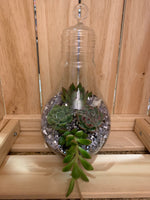 Light Bulb Terrariums