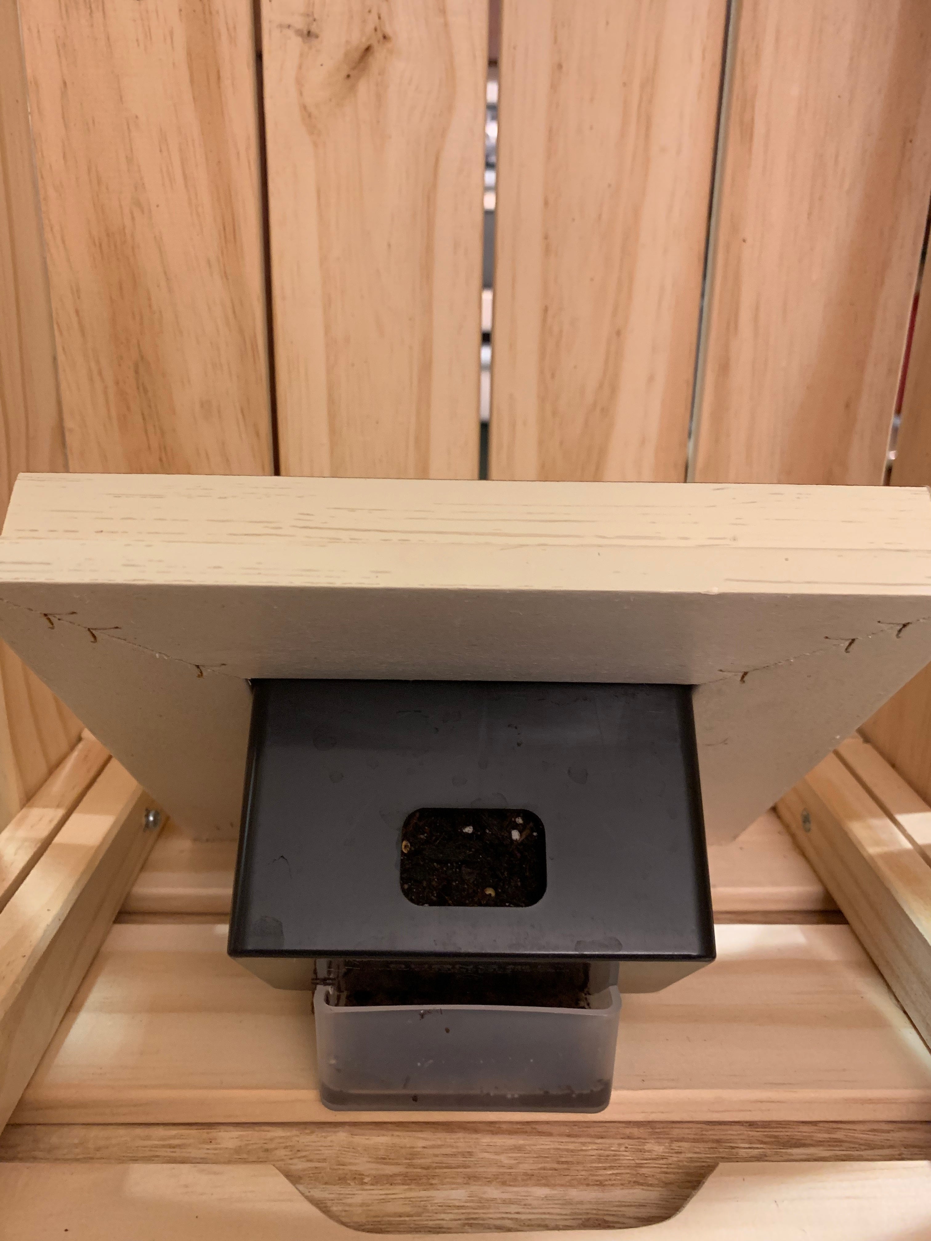 Photo Frame Succulents