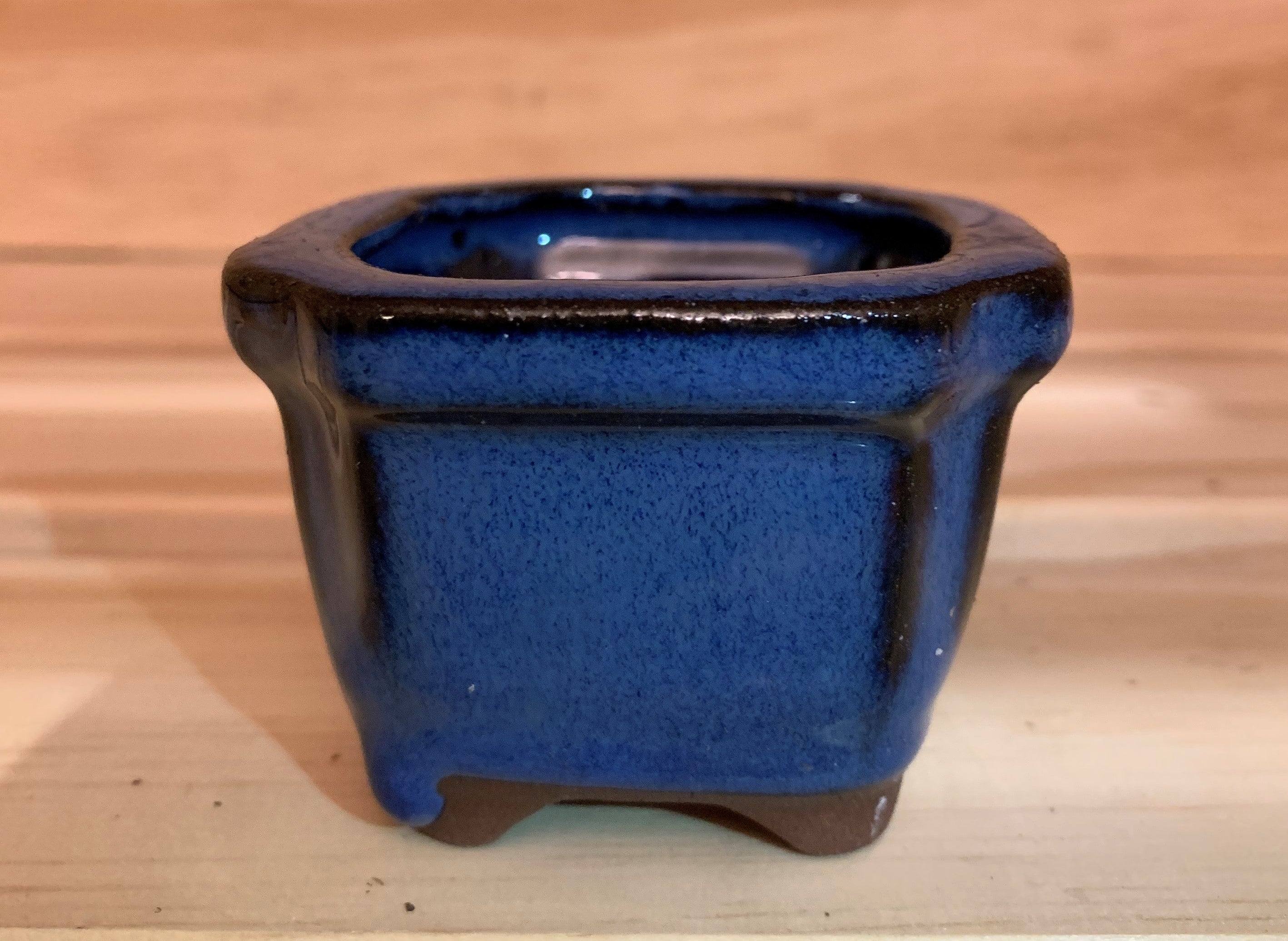 2" Assorted Succulents /w Small Bonsai pot - Set of 6 (B)