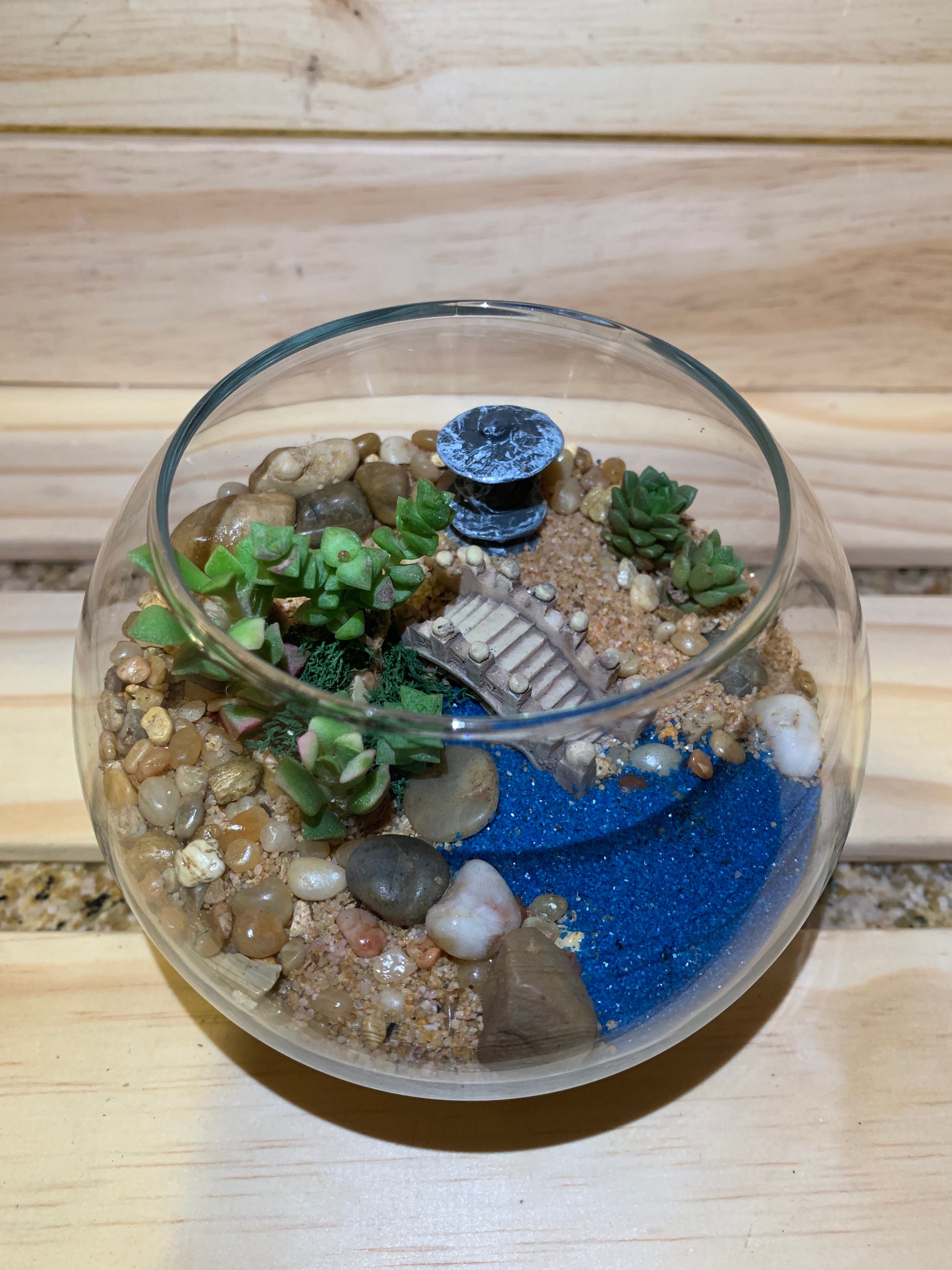 Plant Terrariums