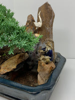 The FISHERMAN - SQ EDITION