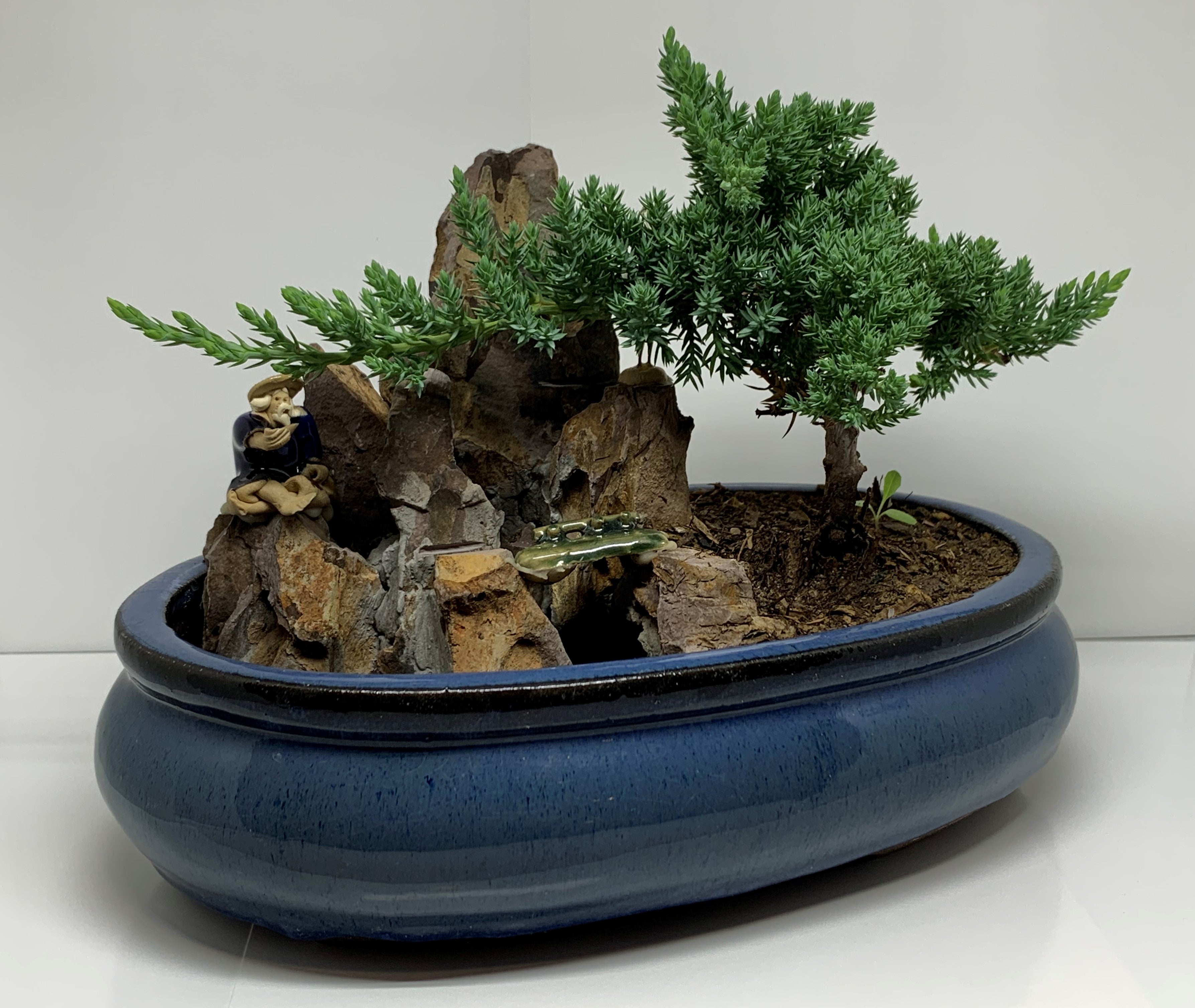 The FISHERMAN - LQ EDITION