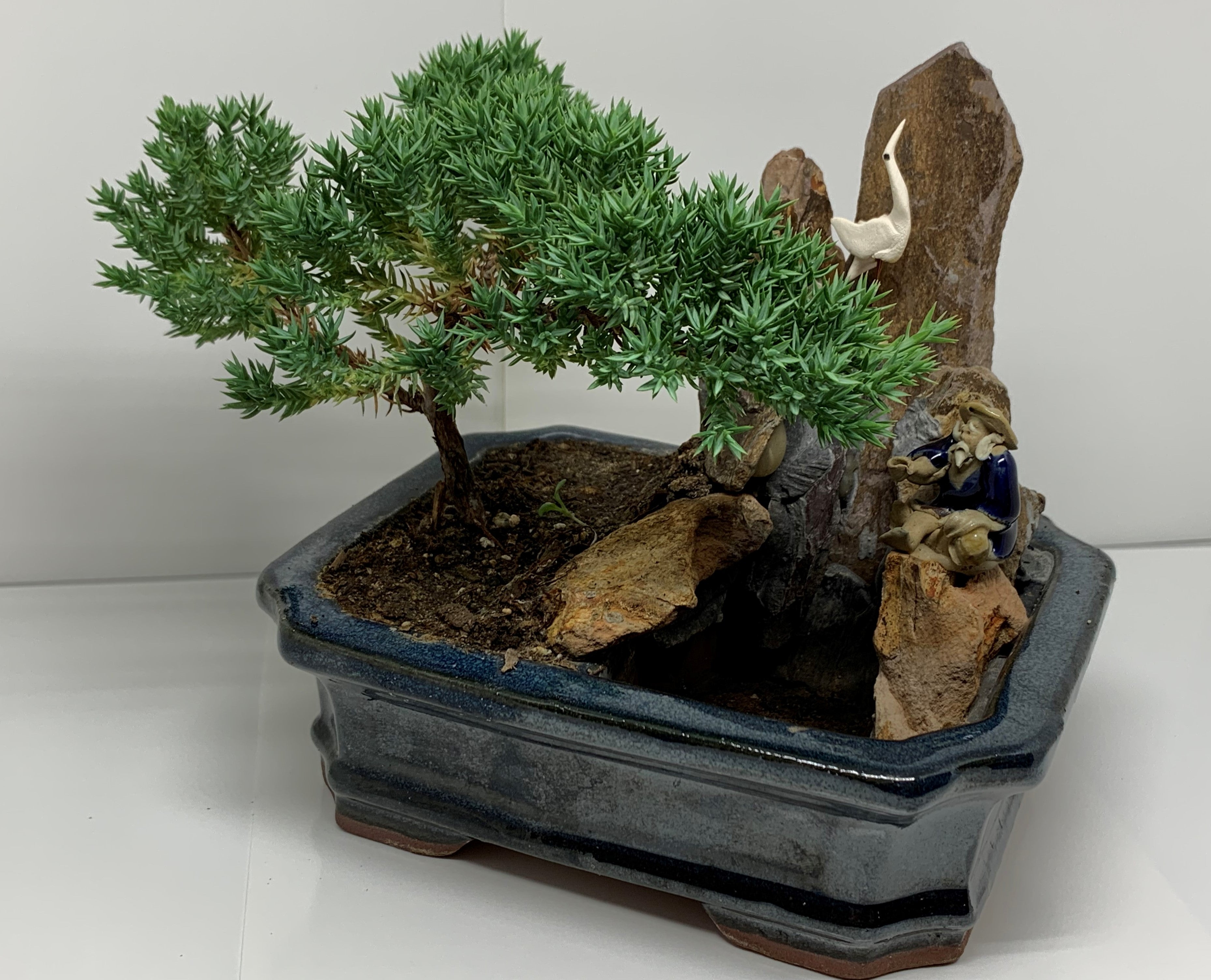 The FISHERMAN - SQ EDITION